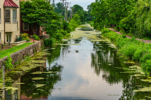Cuadros en Lienzo Delaware Canal Towpath and goose, Historic New Hope, PA