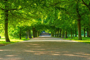 Canvas Print - Greenwich Park in London, UK