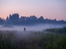 Silhouette Of A Man On A Horse Who Rides Through The Morning Fog