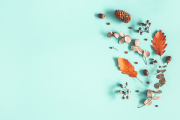 Autumn composition. Dried leaves, flowers on pastel blue background. Autumn, fall, winter concept. Flat lay, top view, copy space