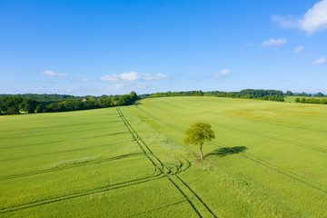 Sticker - La campagne française, des forêts, des champs et des routes