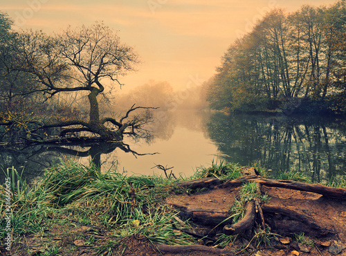Foto-Schiebegardine mit Schienensystem - Beautiful landscape of late autumn. Mysterious trees in the fog above the water. Unusual scene lighting. Calmness and silence in a foggy haze. Vintage landscape (von Peter)