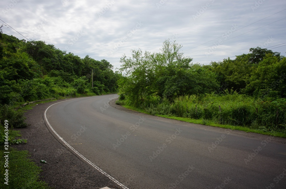 Curvy road is surrounded by the greenery of a forest in the countryside - obrazy, fototapety, plakaty 