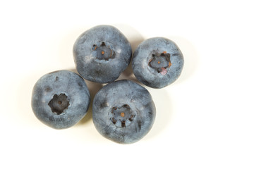 Top view of four blueberries on white