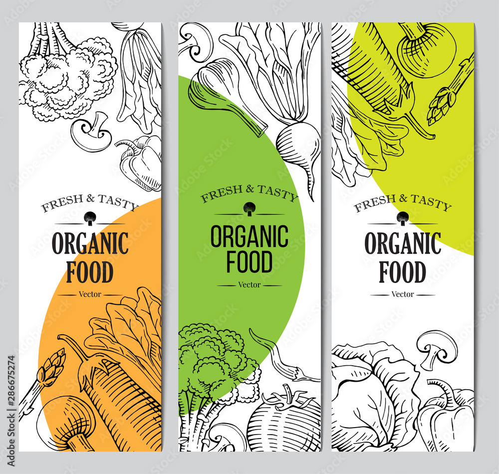 organic vegetarian food banner, roll up standee design template, hand ...