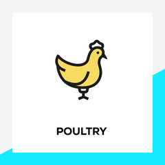 Poster - POULTRY LINE ICON SET