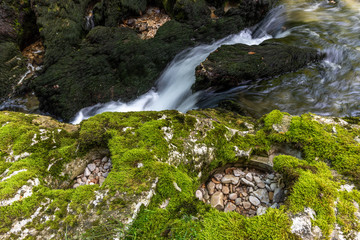 Canvas Print - Près des sources de l'Ain