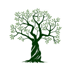 olive tree on white background. vector illustration and concept pictogram.