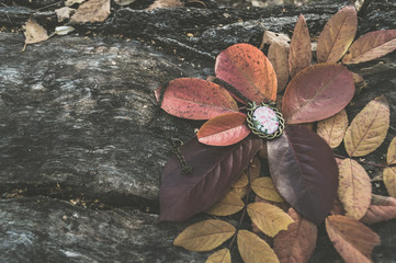 autumnal background of vintage pendant lying on wooden log in leaves