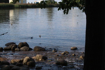 Sticker - Stone embankment on the background of the sea