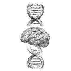 Aufkleber - Brain and DNA spiral low poly wireframe illustration. Polygonal neurons cells connections mesh art on white background.. 3D double helix molecule with connected dots. Genetic analysis