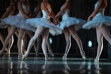 Swan Lake ballet. Closeup of ballerinas dancing