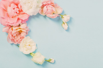 rose flowers on blue paper  background