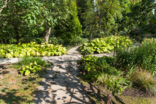 Beautiful And Neat Paths In The Botanical Garden.