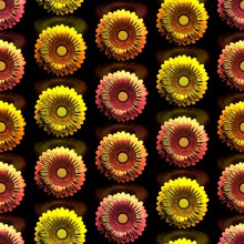 Seamlessly Loopable Pattern Of Metallic And Colored Sunflowers On Black Glossy Background