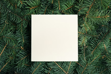 Blank Card On Christmas Tree Branches As Background, Top View. Space For Text