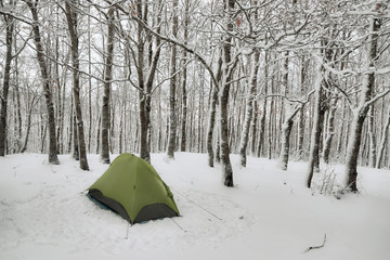 Wall Mural - Green Tent In Forest Snow Covered