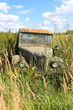Rusty abandoned old car in the field covered by grass