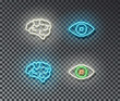 Neon mind and eye signs vector isolated on brick wall. Brain, eye light symbol, decoration effect. N