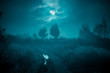 © stone36 - Night mysterious landscape in cold tones - silhouettes of the trees under the full moon through the clouds on dramatic night sky.