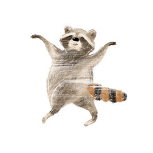 Cute Hand Drawn Illustration Of Raccoon In Acrobatic Pose Ideal For Forest Projects And Autumn Paper Crafts