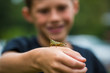 © Sarah Rypma - Selective focus of grasshopper sitting on hand of boy