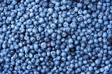 Macro texture of blueberry berries close up. Border design. Summer, vitamin, vegan, vegetarian concept. Healthy food. Fresh blueberries background with copy space for your text