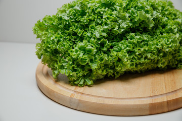 Sticker - Fresh lettuce salad leaves bunch isolated on white background cutout