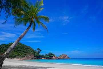  Kokosowy drzewo i piękna błękit plaża przy Redang wyspą, Malezja