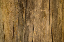 Wood Texture. The Texture Of The Wooden Surface. Texture Old Wood.