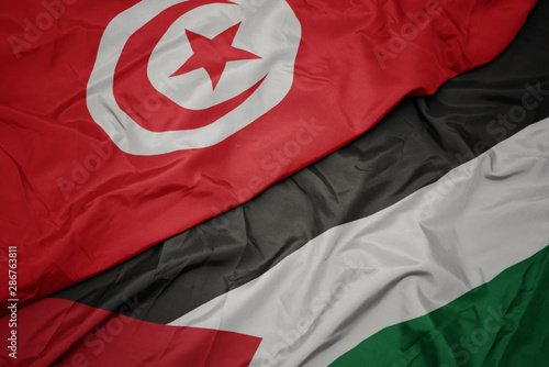 images Palestine Tunisie Flag https stock adobe com images waving colorful flag of palestine and national flag of tunisia 286763811 start checkout 1 content id 286763811