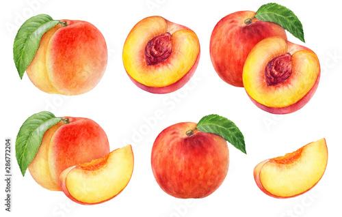 Fotografía Peach fruit watercolor isolated on white background