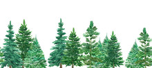 Seamless Border Of Watercolor Christmas Green Trees. Spruce And Holiday Tree. Hand-drawn Illustration.