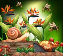 Background Scene With Bee And Snails In Garden