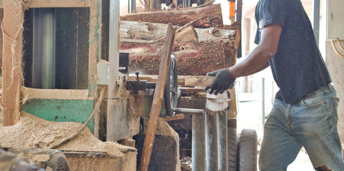 Carpenter cutting woods and logs with band saw in wood factory or sawmill into pieces. Wood industry concept.