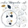Vector Magnolia set. Hand drawn botanical elements in line art style. Magnolia flowers,leaves, buds and wreath isolated on white background.