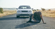 © andranik123 - Caucasian injured man lying on asphalt.