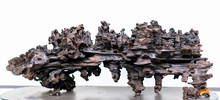 Dry Driftwood Of Coniferous Tree, Old Weathered Relief Wood