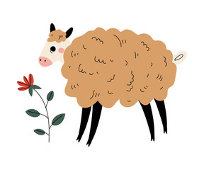 Poster - Cute Sheep Farm Animal and Flower, Agriculture Vector Illustration