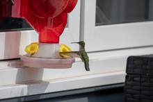 A Hummingbird Approaching A Hummingbird Feeder