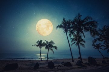 Wall Mural - romantic night scene - beautiful fantasy tropical beach with star and full moon in night skies.