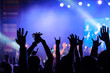 © Anton Gvozdikov - Fans cheering musicians on stage at live rock music concert