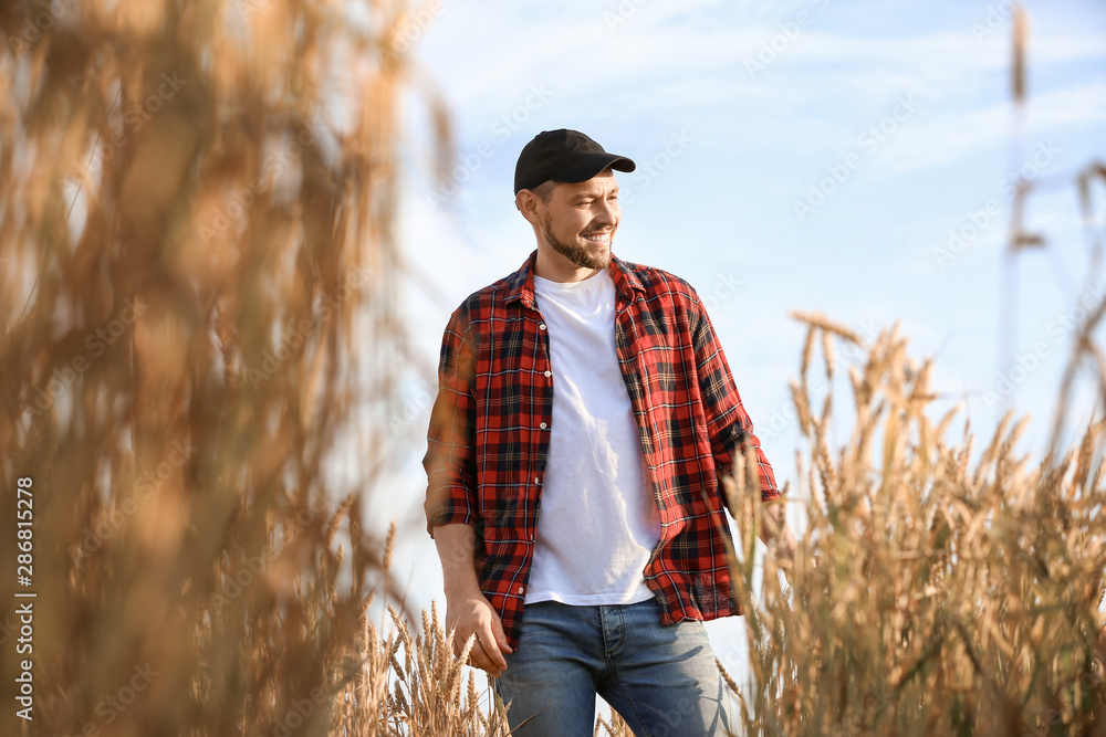 Farmer in field on sunny day