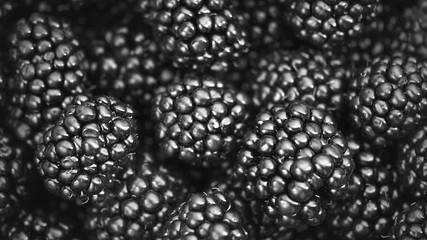 Poster - Blackberry background. Fresh ripe organic blackberries flatlay closeup. Rotation. Slow motion 4K UHD video footage. 3840X2160