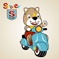 Wall Mural - cute leopard ride on scooter, vector cartoon illustration