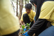 Asian young of volunteers planting trees in park together