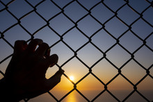 Hand Holding On Chain Link Fence For Freedom, Sun In Background