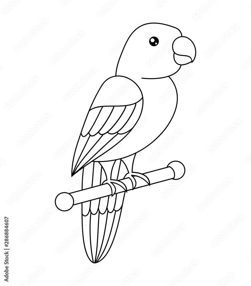 Parrot Outline Pictures Drawing