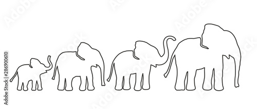 Cuadros en Lienzo Set of Different Elephant. Lines strength Customizable. Vector
