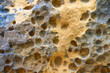 Verwitterte Oberfläche eines gelben Sandsteines als Textur.